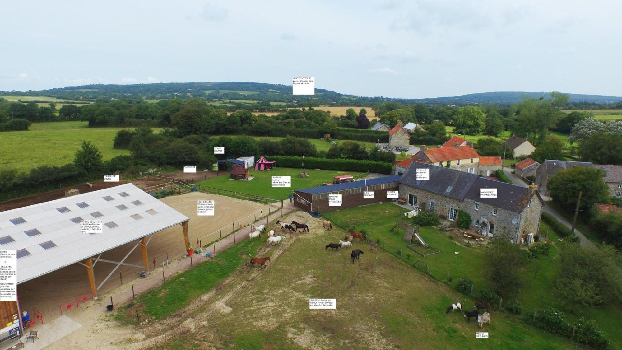Ecuries Leseigneur - Camping Insolites Bolleville  Exterior foto